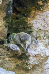bird from the stone created by wind and water