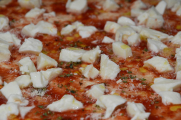 margherita pizza with tomato and cheese