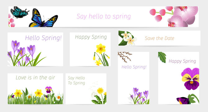 Wedding or birthday invitation spring flower celebration cards vector.