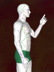 Acupuncture model M-POSE EHP-02-3, 3D illustration
