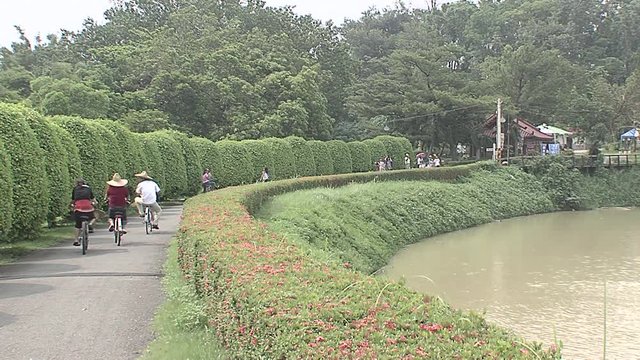 Asian people in the park of a sun day ride a bicycle
