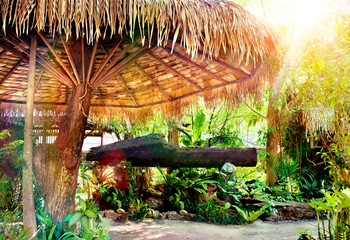 Fondo exotico de naturaleza y cartel.Palmeras y sombrilla,vegetacion tropical.