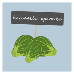 Vector Vegetable - Brussels sprouts - 138705484