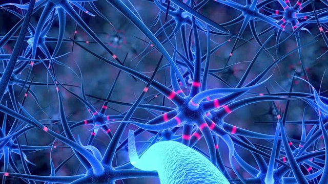 The camera slowly flies through nerve cells inside of the human brain