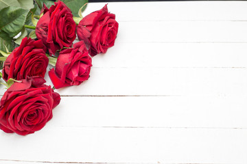 Red roses on white wooden background