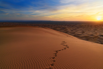 Plakat Sunrise in Erg Chebbi Sand dunes near Merzouga, Morocco