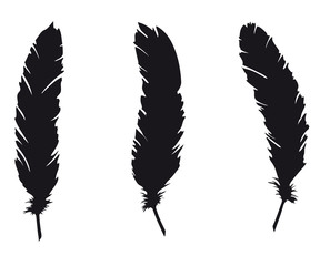 Three feathers silhouette - Raven feathers