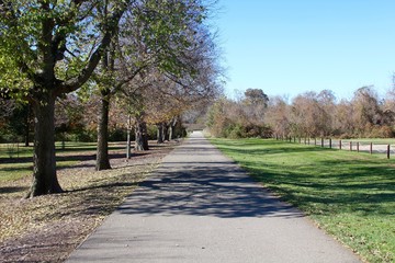 The long walkway on a sunny autumn day.