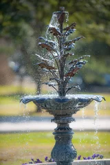 Papier Peint photo Fontaine Fontaine à eau dans les jardins luxuriants du complexe State Capitol à Austin, TX