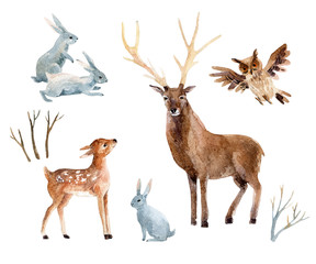 Watercolor deer with fawn, rabbits, birds isolated on white background.