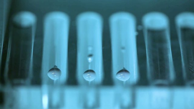 Laboratory manipulation for COVID-19 and the pandemic. Research for a vaccine for everyone