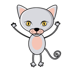 color teddy cat icon, vector illustraction image design