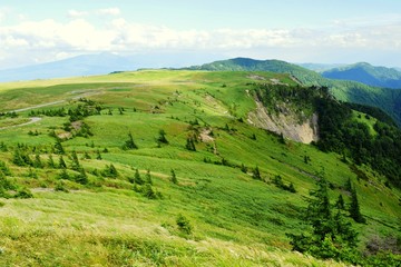 Obraz premium 美ヶ原高原