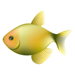color litmus fish icon, vector illustraction design