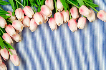 Pink spring tulips.