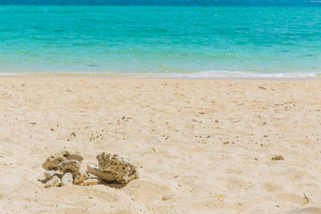 sand sea beach for background.