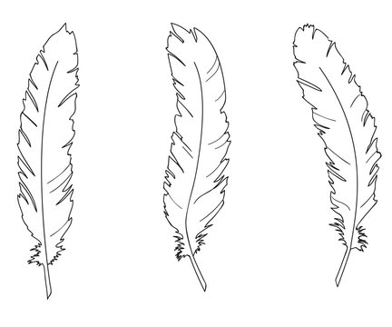 Three feathers of a swan
 Writing pen coloring page