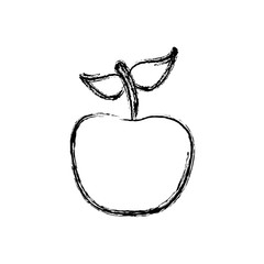contour apple fruit icon stock, vector illustration desing
