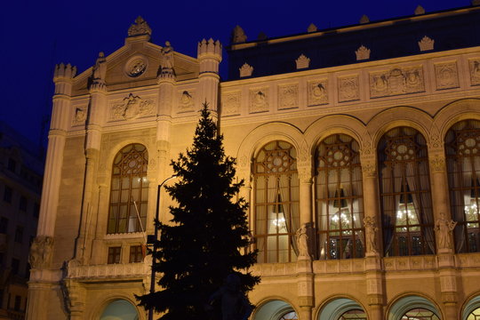 Vigado building in Budapest