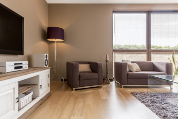 Living room interior with white commode