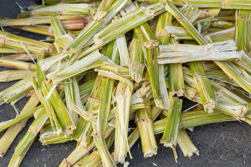 Sugarcane bagasse, nature fiber recycle for biofuel pulp and building materials.