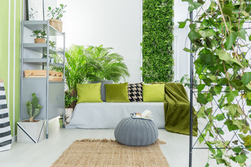 Botanical living room