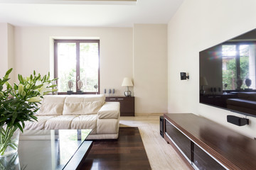 Elegant living room with white couch