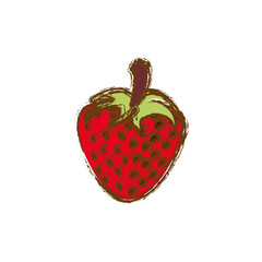 color strawberry fruit icon stock, vector illustration design