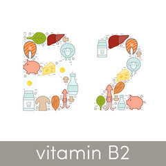 Vitamin B2 vector
