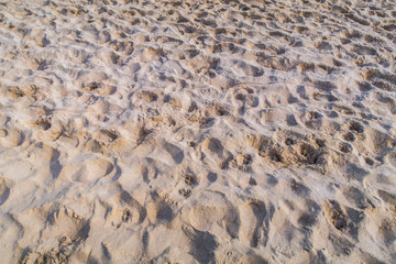 Beach texture, background