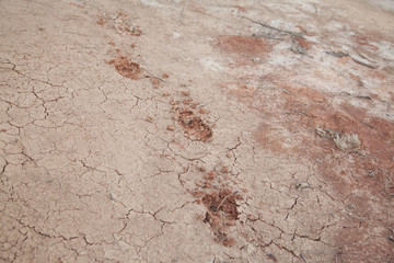 Tracks