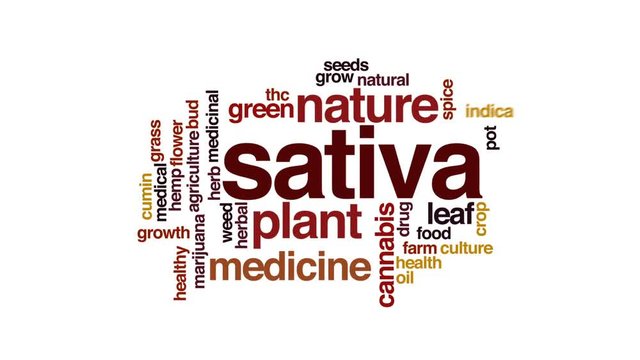 Sativa animated word cloud, text design animation.