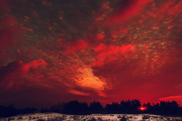 Fiery orange colorful sunset sky.  winter forest at sunset.