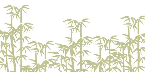 bamboo illustration