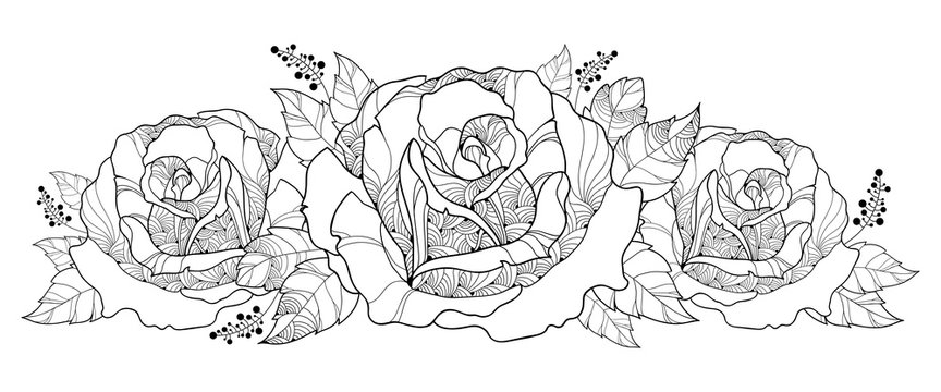 Vector drawing with bouquet of outline rose flower isolated on white background. Floral elements with roses and leaves in contour style for summer design and coloring book. Horizontal composition.