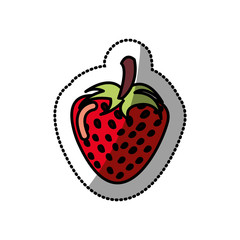 strawberry fruit icon stock, vector illustration design