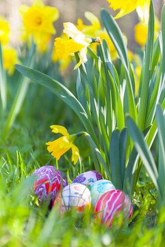Bunte, handbemalte Ostereier unter bl&uuml;henden Osterglocken / Narzissen, Blumenwiese, Osternest, Ostergru&szlig;
