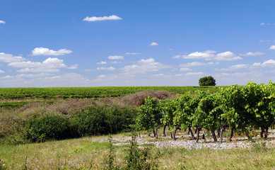 Landschaft in Frankreich