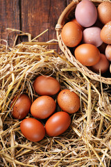 organic eggs in nest, tinted