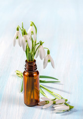 Bunch of snowdrops on the wooden table