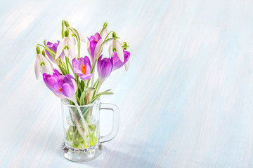 Bouquet of snowdrops and crocuses on a rustic background