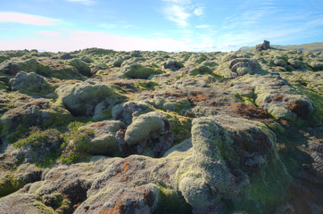 Mossy lava rock field, Iceland