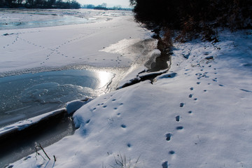 Frozen wild river