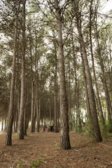 The Sichar reservoir in Castellón