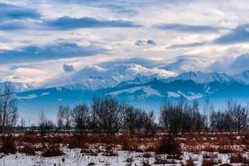 Morning winter in the mountains