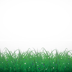 Obraz premium Grass on a white shining background with flowers