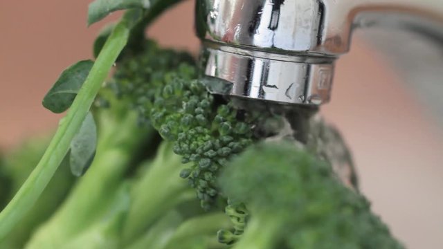 Washing broccoli with tap water, closeup. HD footage stock video.