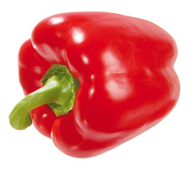 Rote Paprika