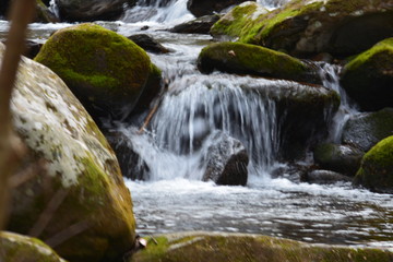 Fototapeta premium Winding Path