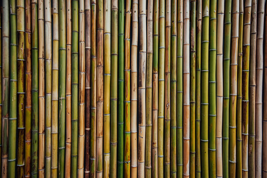 Bamboo fence background texture